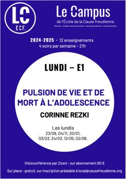 E1- Pulsion de vie et de mort à l'adolescence