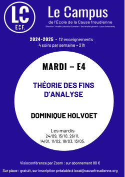 E4 - Théories des fins d'analyse