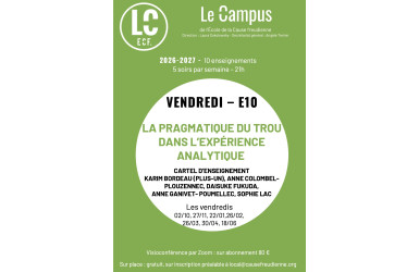 E10 - LA PRAGMATIQUE DU TROU DANS L'EXPÉRIENCE ANALYTIQUE